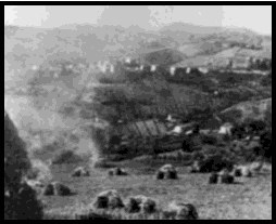Tanks during the battle next to "San Vincenzo"