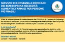 Servizio di consegna a domicilio di beni di prima necessità